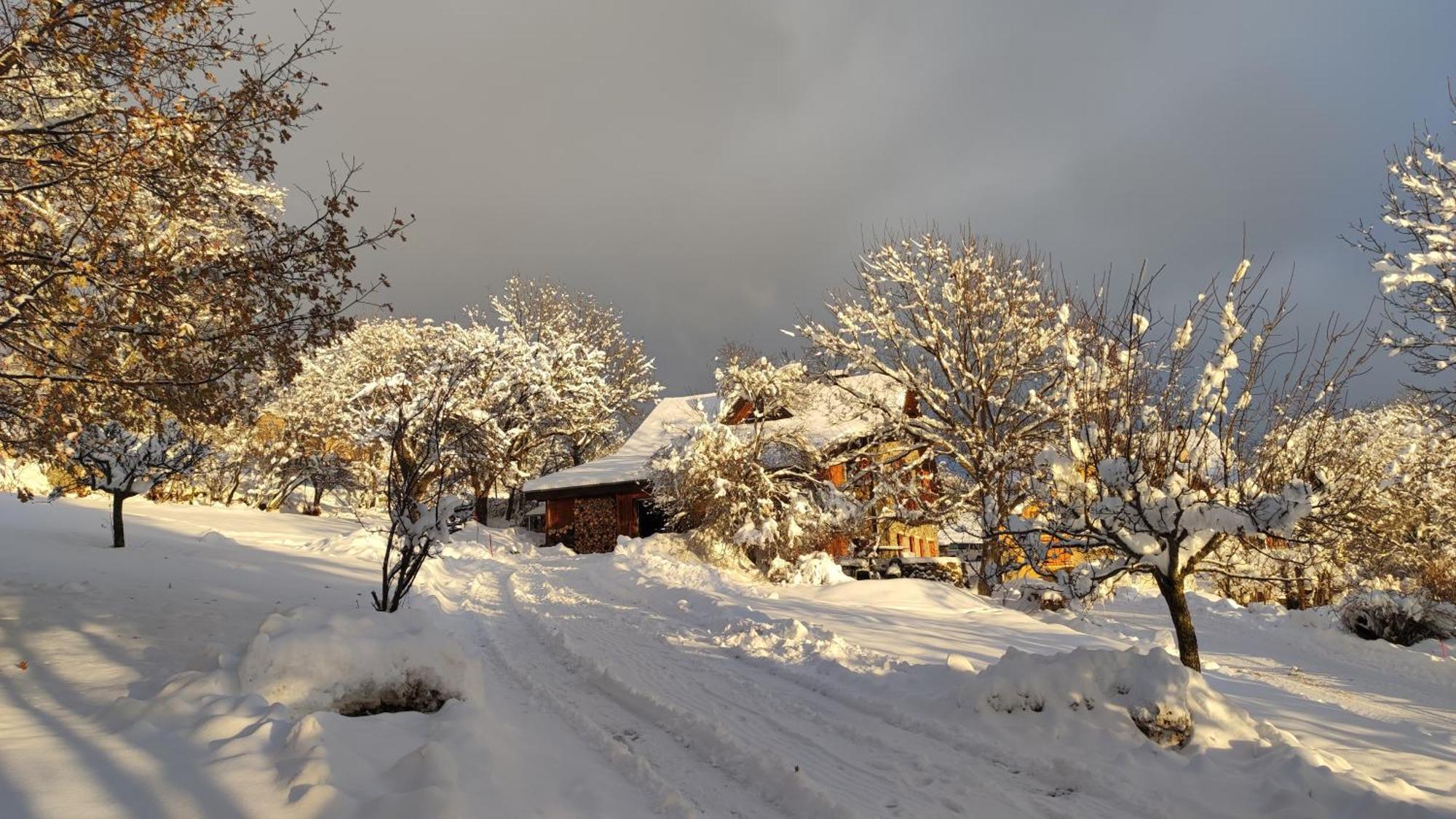 Chalet Mounette Ski Sauna Lac Embrun Puy-Sanieres Exterior photo